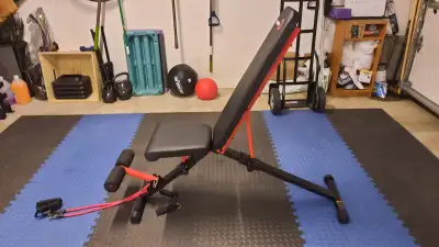 Pelpo Weight Bench for Full Body Workout, View more