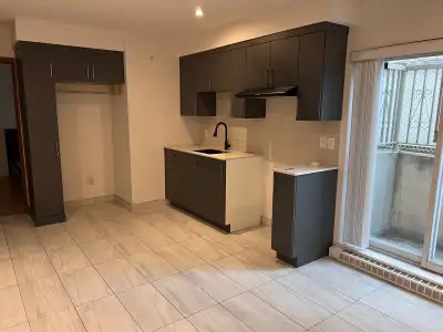 Bachelor Apartment de 1 chambre et 1 salle de bain récemment rénové situé au coeur de St-Léonard À q...