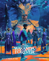 Black Panther Wakanda Forever Original Theatrical Poster
