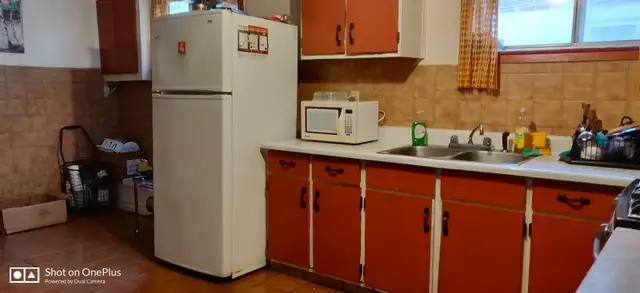 1 bright room for rent close to Seneca College in Finch and 401 in Room Rentals & Roommates in City of Toronto - Image 9