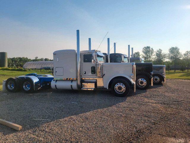 Peterbilt 389 in Heavy Trucks in Brandon - Image 3