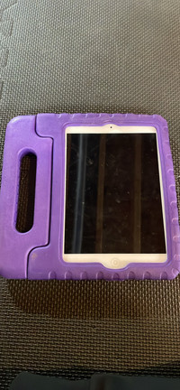 iPad mini 2 with case 