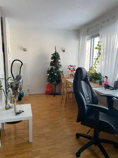 Girl only Roomate