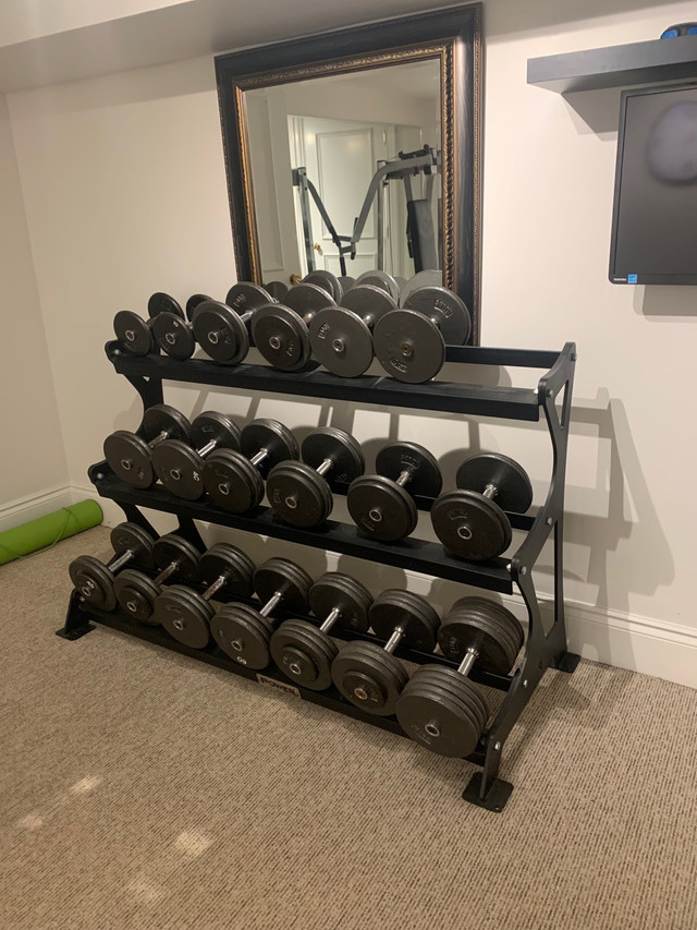 Dumbbells & Rack in Exercise Equipment in Oakville / Halton Region