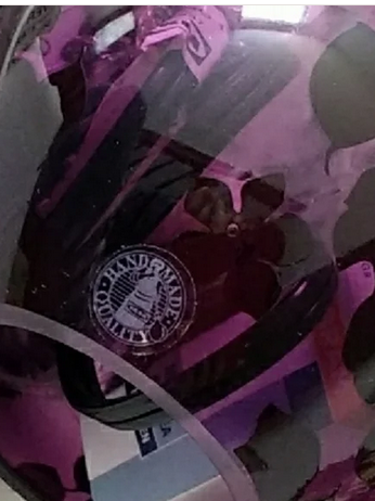 IKEA Knubbig Purple Leaf and Flower Glass Table Lamp in Indoor Lighting & Fans in Ottawa - Image 7