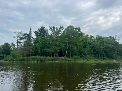 VACANT LAKEFRONT BUILDING LOT FOR SALE ON BUCKSHOT LAKE Price: $435,000.00 Location: 1885A East Bay...