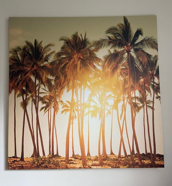 Palm tree canvas for sale  