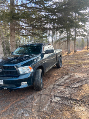 2010 Dodge Ram 1500
