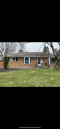 3 bedroom Chatham basement apartment available for rent