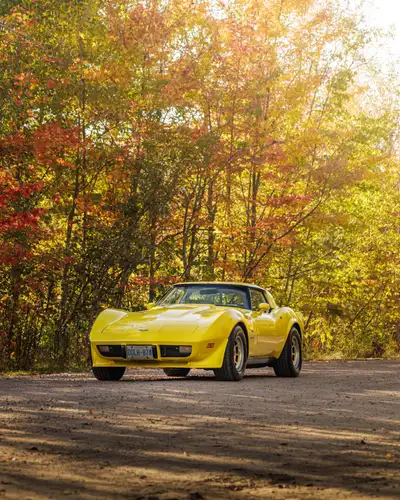 1979 C3 corvette very clean car . Has 121000 original kilometers . Comes with car cover . More pictu...