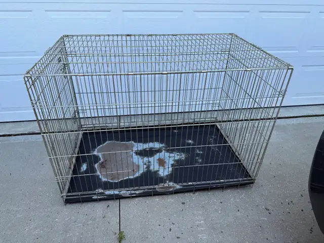 Xxl dog crate  in Accessories in Strathcona County - Image 3