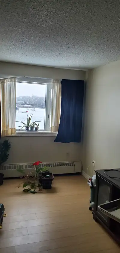 1 bedroom in a 2 bedroom apartment. Electricity and Internet are not included in rent. Renter's Insu...