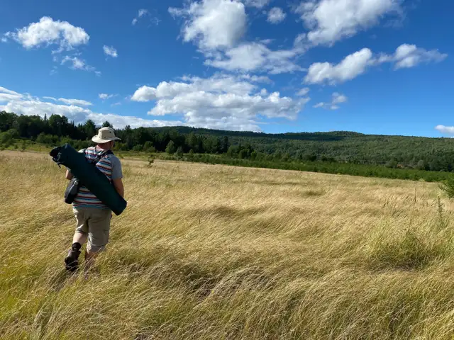 Friendly Sharing64840287773059120