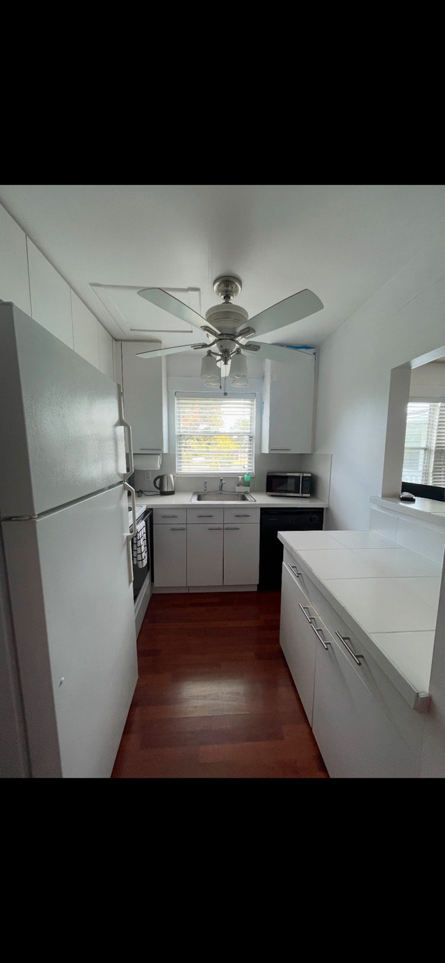 Florida Condo Available from May/Nov min3months in Florida - Image 3