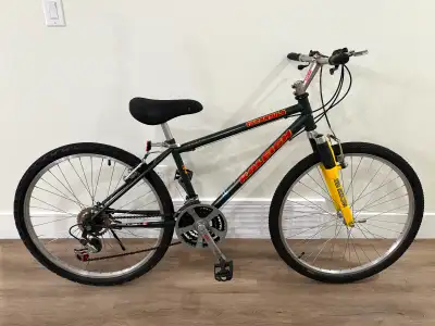 Raleigh Tarantula 26” adult mountain bike, View more