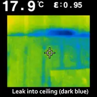 FLIR Thermal Camera Rental- Home Inspection, Leaks, Energy Audit