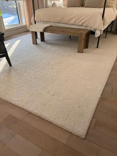 Wayfair Rug, View more