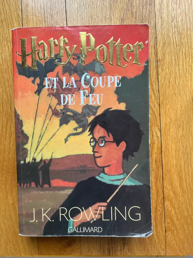 LIVRE * HARRY POTTER * grand format (12$chaque)) in Children & Young Adult in Longueuil / South Shore - Image 3