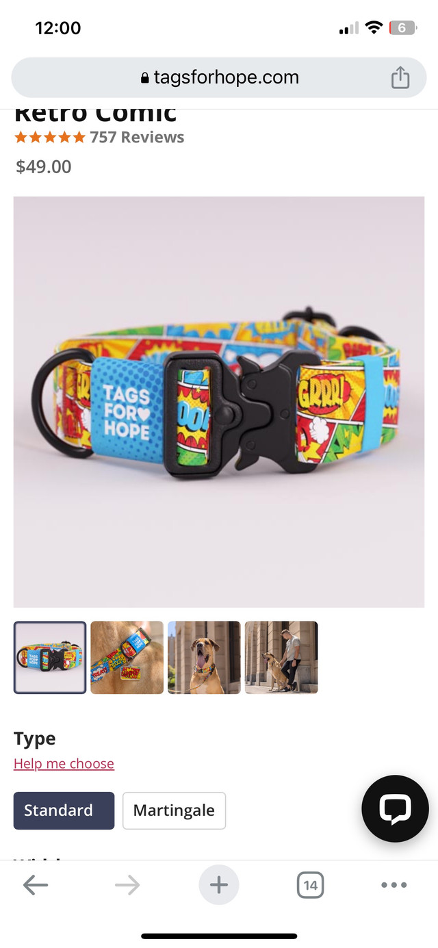 Dog collar - brand new in Accessories in Belleville - Image 2