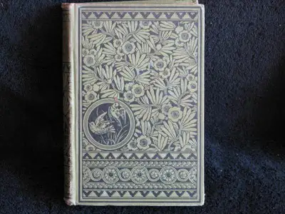 Little Paul, From the Dombey and Son of Charles Dickens Book, View more