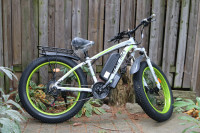 Premium Electric Fat 21spd bike 26"