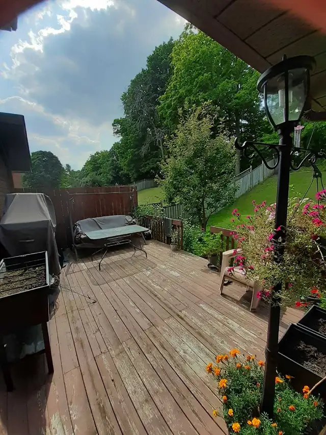 Room available for rent in four bedroom house  in Room Rentals & Roommates in Peterborough - Image 9