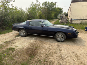 1981 Chevrolet Camaro