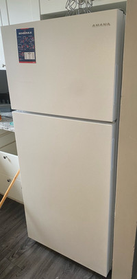 Amanda fridge