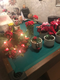 Wreaths lit- planters 10-29.00