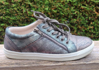 Silver Stepwel Shoes