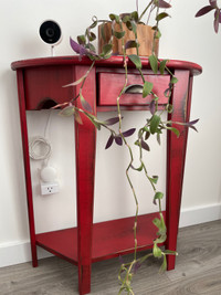 Purple Heart hanging plant 