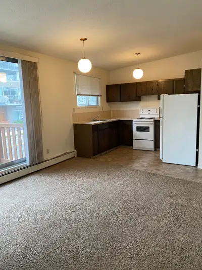 One bedroom available January 1st. Rent includes heat, water and one surface parking stall with plug...