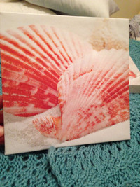 Sea shells print on canvas-priced separately