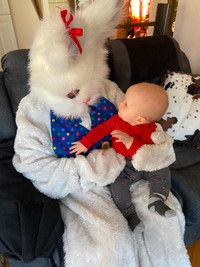 Easter rabbit costume