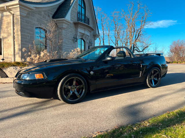 2004 Supercharged Mustang GT - 40 year anniversary edition in Cars & Trucks in Oakville / Halton Region