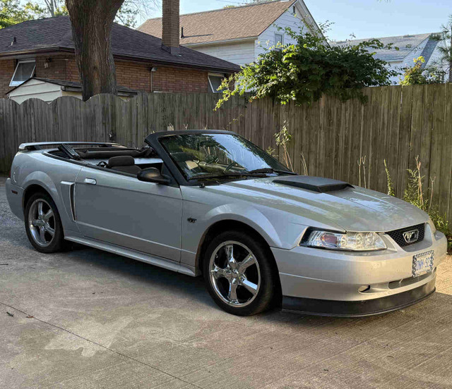 2001 Mustang GT Convertible in Cars & Trucks in Sarnia