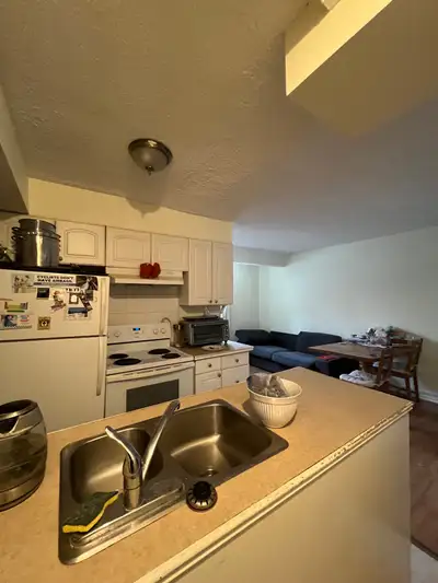 2 BR Beaches  on Queen - steps to boardwalk