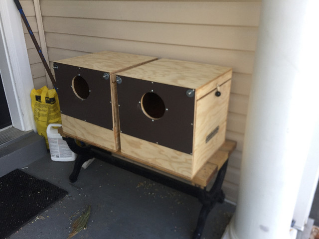 Nest boxes dans Oiseaux à adopter  à Région d’Oshawa/Durham - Image 3
