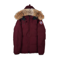 Canada Goose Brand New  Ladies Chelsea Parka Size Large