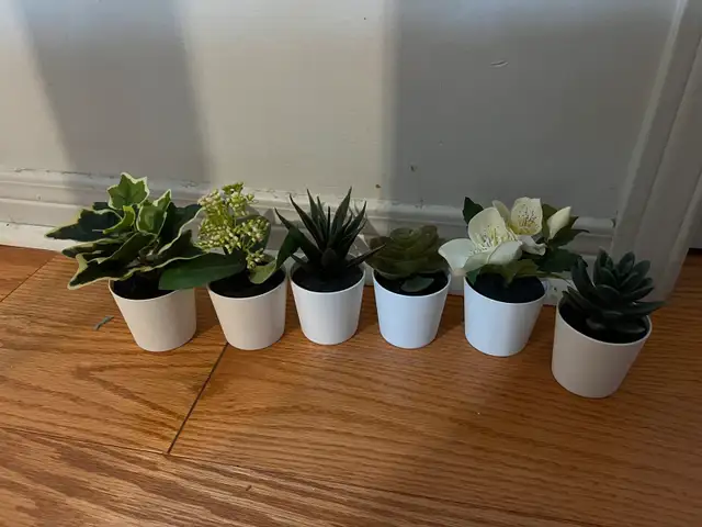 IKEA Plant Decoration62863730151041121