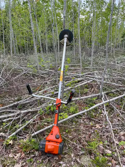LOT CLEARING / TREE & BRUSH CUTTING, View more