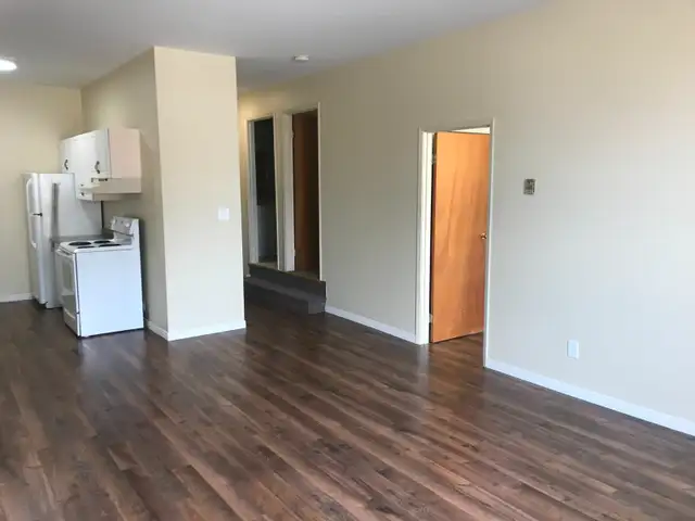 Orillia- Large Beautiful One Bedroom Apartment