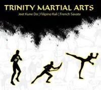 Trinity Martial Arts Toronto: Savate - Kali - JKD