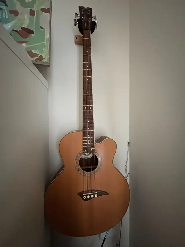 acoustic bass guitar