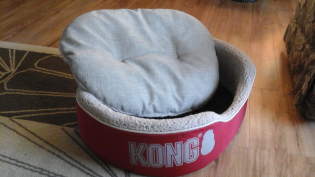 Kong dog bed in Accessories in St. Albert - Image 2