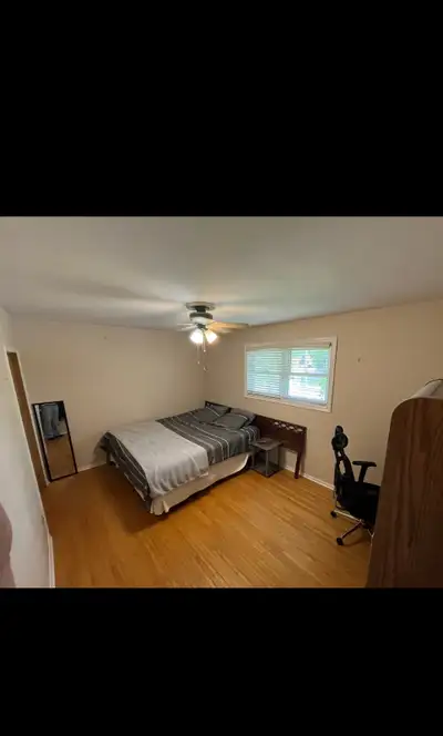 Single Room Available Now