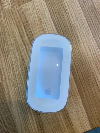 Apple product Mac wireless Magic Mouse Comes with container it was purchased in and all instructions