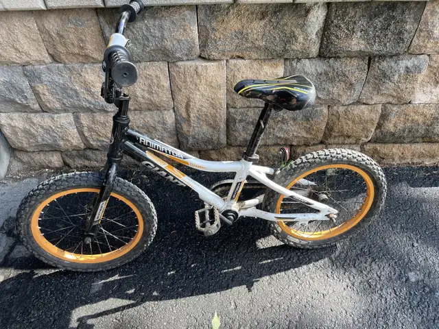 Boys Bike - Giant in Kids in Ottawa - Image 2