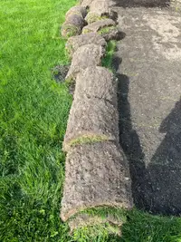 Free grass sod rolls