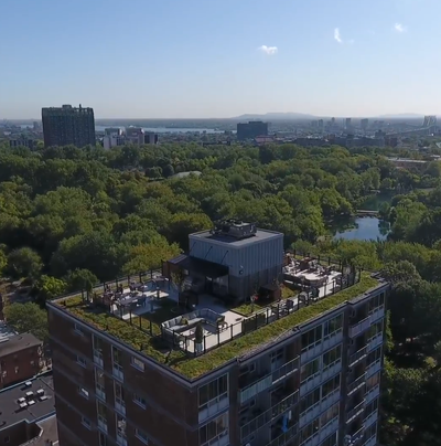 3 1/2 Lease Transfer | Parc La Fontaine | Pet-Friendly | $1694 1-bedroom apartment lease transfer av...